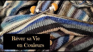 ❤️🧶 VlogTricot 44  Euuuh Donc Voila ma semaine laineuse podcasttricot tricot [upl. by Novyad]