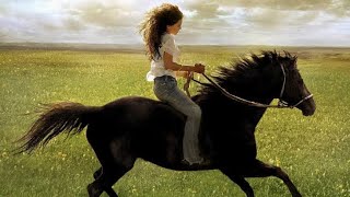 Flicka Full Movie Facts And Review  Alison Lohman  Tim McGraw [upl. by Cicero]