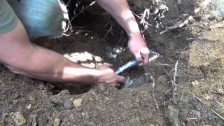 How to relocate a sprinkler head [upl. by Aicekat]