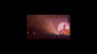 Epic NYC Adventure David Gilmour Live in Concert 🎸✨ [upl. by Montfort]