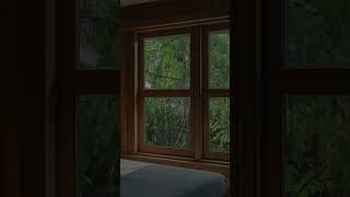 Gentle Rain on Window for Deep Sleep and Relaxation [upl. by Yeliab330]