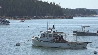 Stonington aims to fortify its working waterfront as tides rise and storms worsen [upl. by Ingra]