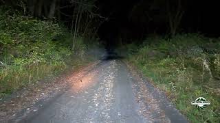 Woodcock in the Road 2 woodcock bestbackroad vermont naturetherapy [upl. by Arndt140]