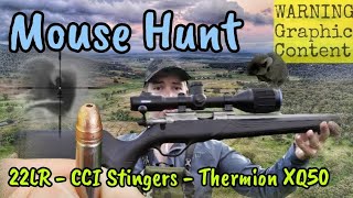 Mouse Hunt  Pest Control amp Thermal Shooting with a 22LR Lithgow LA101 [upl. by Odraleba]