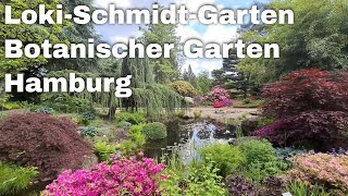 LokiSchmidtGarten  Botanischer Garten  Hamburg Germany [upl. by Tedric951]