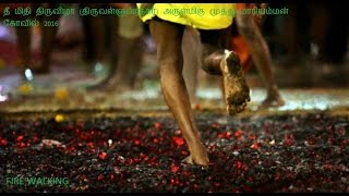 Fire Walking  Thimithi festival Thimithi Thiruvila [upl. by Saval693]