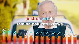 ♪ Andrzej Rosiewicz amp Andrzej Koziński  Chłopcy radarowcy KARAOKE ♪ [upl. by Olrac875]