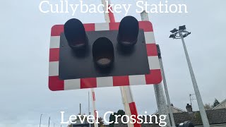 Cullybackey Station Level Crossing Ballymena Monday October 30102023 [upl. by Anilecram621]