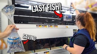 SAVING The LAST FISH Ever SOLD At WALMART Almost Caught [upl. by Brynna513]