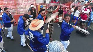 Que bonita carnavalesco Banda real de reyes [upl. by Nobile]