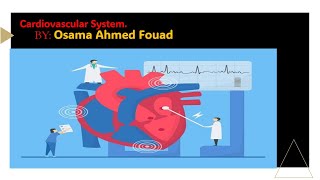 Lec 1 Cardio  Introduction to Cardiovascular system Osama Ahmed Fouad [upl. by Adnertal]