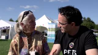 Dr Jane Goodall at The VET Festival 2015 [upl. by Germaine580]