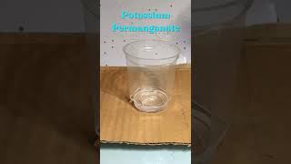 H2O2 And KMnO4 Reaction  Science Experiment  shorts experiment science chemistry [upl. by Thoer]