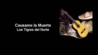 Causame la Muerte  Los Tigres del Norte Letra [upl. by Kostman46]