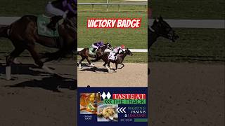 Victory Badge runs down Rachels Song to score in race 5 GulfstreamPark SunshineMeet [upl. by Gnov]