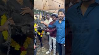 Kadaikutty Singam Karthi 🔥 meiyazhagan tamilcinema shortstamil tamilshorts trending tamil [upl. by Aridan]