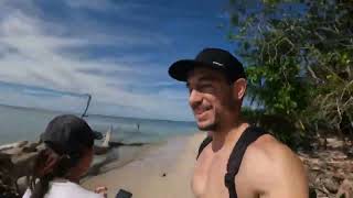 Sneaky Racoons Robbing People on the Beach Chaquitas Costa Rica [upl. by Yssej111]