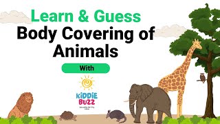 Body Covering of Animals  Learn amp Guess  Science  Educational  Kiddie Buzz AnimalVideo [upl. by Ellord]