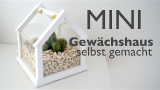 Mini Gewächshaus  Schritt für Schritt  Anleitung in deutsch [upl. by Bindman558]