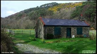 Thomas and the Magic Railroad  Burnett Stones House HD [upl. by Hulbert]