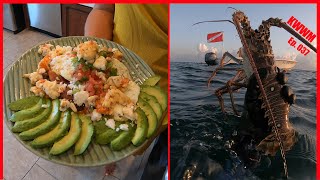 LOBSTER MINI SEASON CATCH amp COOK Huevos Rancheros Con Langosta Key West Waterman Ep 037 [upl. by Agnella]