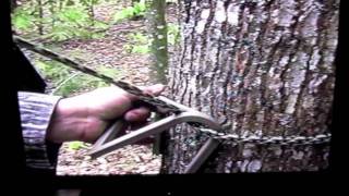 Stepp Ladderbest tree climbing system ever madegood for huntingyezzr [upl. by Nosnej]