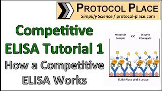 Competitive ELISA Tutorial 1 How a Competitive ELISA Works [upl. by Kiona903]