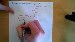 Endocannabinoids and the Cardiovascular System Part 1 [upl. by Sunny]