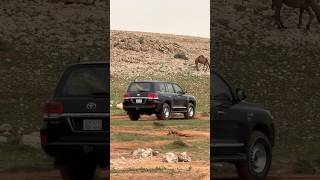 لاندكروزر فكسار 2021 اسود هدد لاندكروزر تويوتا اكسبلور toyota لايك lc300 landcruiser300 [upl. by Allemrac]