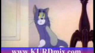 Kartoni Kurdi Mndalan  Tom u Jerry Mshk u Pshila Dldari [upl. by Costa]