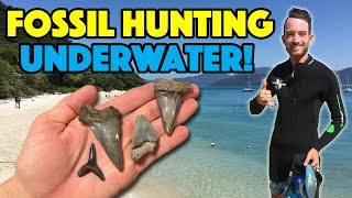 We Go Fossil Hunting Underwater Unexpected Finds in Charleston South Carolina [upl. by Ajnin]