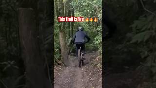 This Trail is Fire 🔥🔥🔥 emtb rotoruatrails enduroemtb sam2 epictrail shorts [upl. by Lindie]