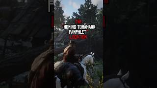 RDR2 An INCREDIBLE Finding of a Special Pamphlet rdr2 tomahawk [upl. by Nibur]