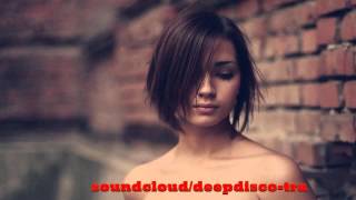 The Best Of Vocal Deep House amp Nu Disco 2013 2 Hour Mixed By Zeni N [upl. by Staley]