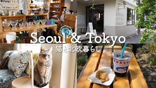 東京で楽しむ北欧暮らし🌿 吉祥寺の可愛い雑貨屋さんとカフェ🇯🇵  友達に会いにソウルへ！カフェを巡る2泊3日の旅 🇰🇷  Seoul amp Tokyo Vlog [upl. by Aninad209]