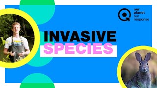 Invasive Species  One of the biggest threats to Biodiversity  OPOR [upl. by Reggi8]