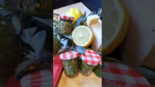 WINTER SALBEI ZITRONEN PESTO pesto foodie foodideas herbs healthy food [upl. by Edrei]