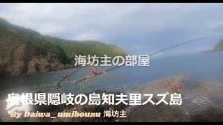 島根県隠岐の島知夫里の石鯛 [upl. by Ellirehs145]