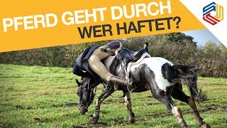 Unfall beim Reiten  wer haftet Pferderecht Corina Seiter Delmenhorst [upl. by Ailat448]