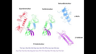 Part 16 Theoretische Biophysik 6 [upl. by Jillene242]