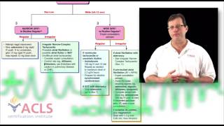 Tachycardia Review by ACLS Certification Institute [upl. by Brozak488]