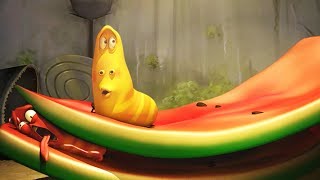 LARVA  WATERMELON  2017 Cartoon Movie  Videos For Kids  Kids TV Shows Full Episodes [upl. by Dewain245]