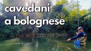 CAVEDANI A BOLOGNESE SUL FIUME TEVERE  PESCA A BOLOGNESE  pesCarlo [upl. by Aarika]