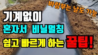 10분도 안걸리는 혼자 쉽게 비닐멀칭하는 방법 바람불어도 끄떡없어요 [upl. by Inaliel]