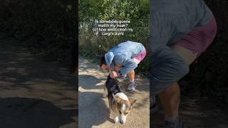 Dog dad finds innovative way to clean his corgi’s bum [upl. by Chiquia]