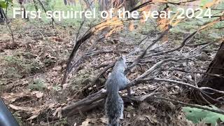 Opening day of squirrel 2024 ￼ [upl. by Ekud]