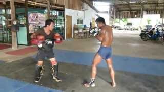 Treinamento Duro de Muay Thai [upl. by Trub779]