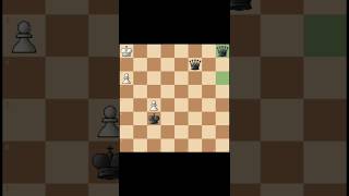 Bishop Trap for the Winchess chesstraps chesscom [upl. by Ayeka]