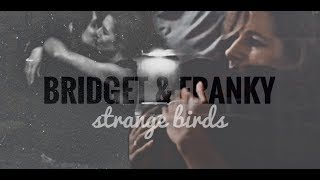 franky amp bridget • strange birds [upl. by Gingras]