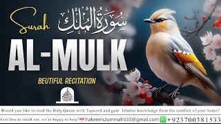 quotSurah AlMulk Daily Recitation for Peace and Divine Protectionquot l سورۃ الملک l HakeemulUmmah [upl. by Harper720]